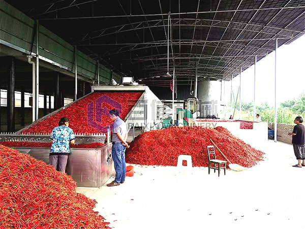 辣椒烘干生產線